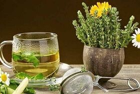 Herbas terapéuticas no tratamento das varices